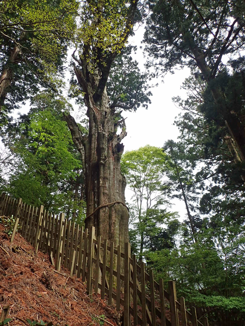 MT-01 OS 38 玉置神社 湯ノ口温泉_a0339187_13435498.jpg