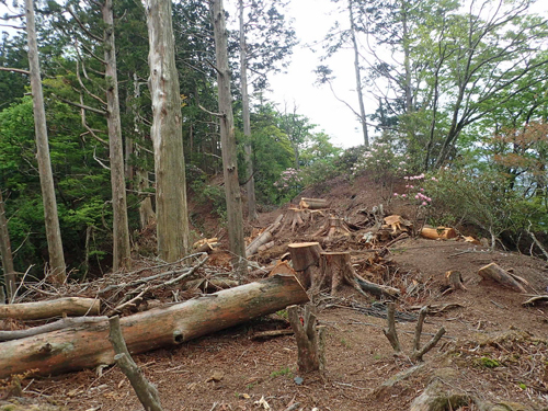 MT-01 OS 38 玉置神社 湯ノ口温泉_a0339187_13440769.jpg