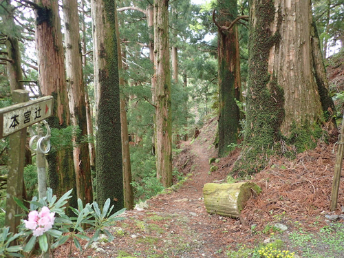 MT-01 OS 38 玉置神社 湯ノ口温泉_a0339187_13441647.jpg