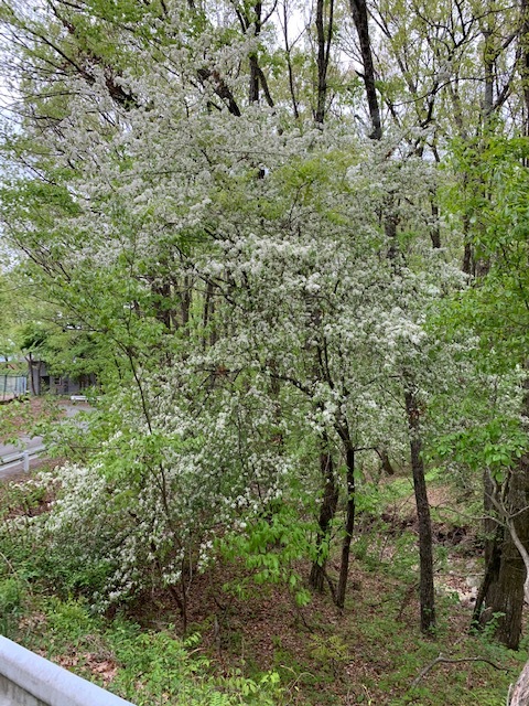 e0008887_18444989.jpg