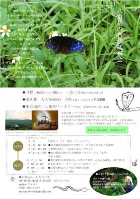 八重岳の自然観察会　2019　初夏　開催します！_a0247891_18025433.jpg