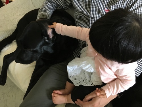 f0347891_01385967.jpeg