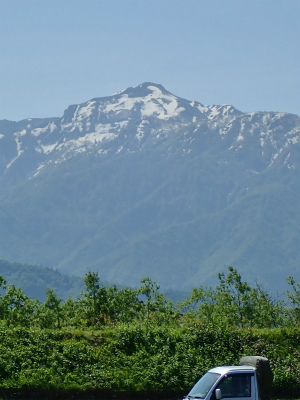 c0336902_19575805.jpg
