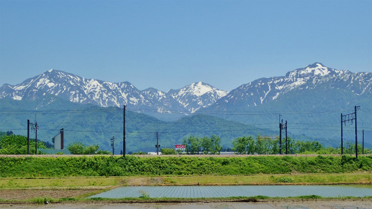 c0336902_20301906.jpg