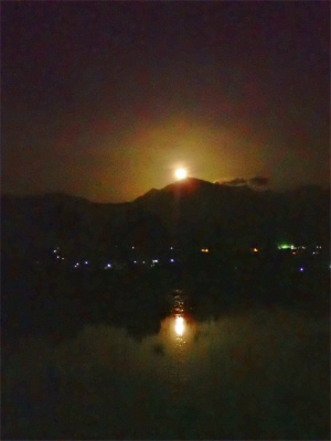 c0336902_20530603.jpg