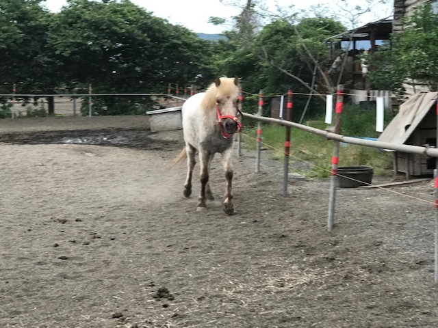 5/18 イオン譲渡会報告です!_f0242002_12032836.jpg
