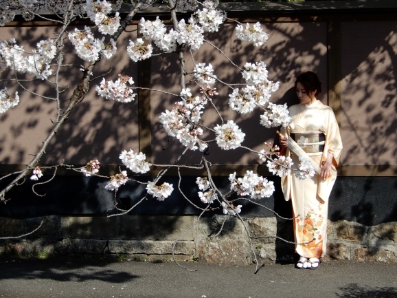 宴のあと（après la fête de fleurs de cerisier）_c0345705_06034705.jpg