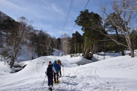 4月29日。快晴の中、尾瀬「山の鼻」より鳩待峠経由で下山_c0242406_09521143.jpg