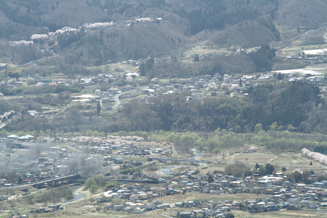 河原にも山にも桜咲く - 2019年桜・上越線 -_b0190710_22234864.jpg