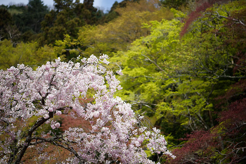 f0032011_20015101.jpg