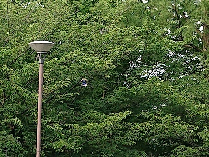 f0371014_21495558.jpg