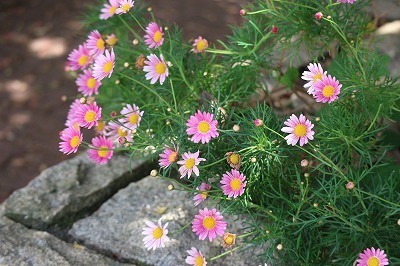 e0373815_14451991.jpg