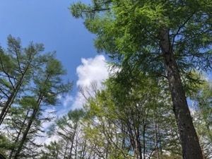 c0048023_11051664.jpg