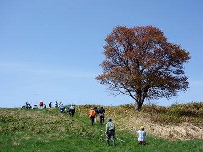 c0204725_12573402.jpg