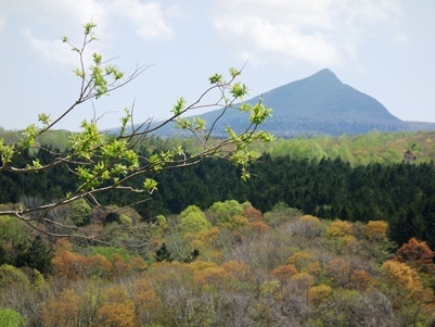 c0204725_13005212.jpg