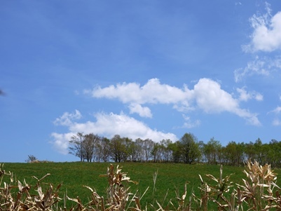 c0204725_13014448.jpg