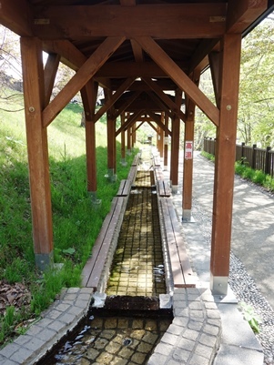 c0204725_13065219.jpg