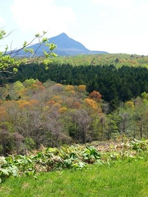 c0204725_14034983.jpg
