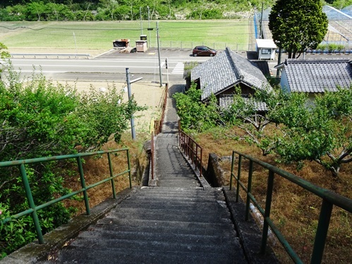 四万十川の風に乗って予土沿線を走る_f0213825_10244580.jpg