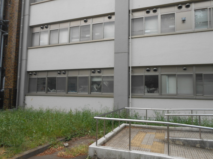 農工大へ味噌買いに。_a0095931_07453495.jpg