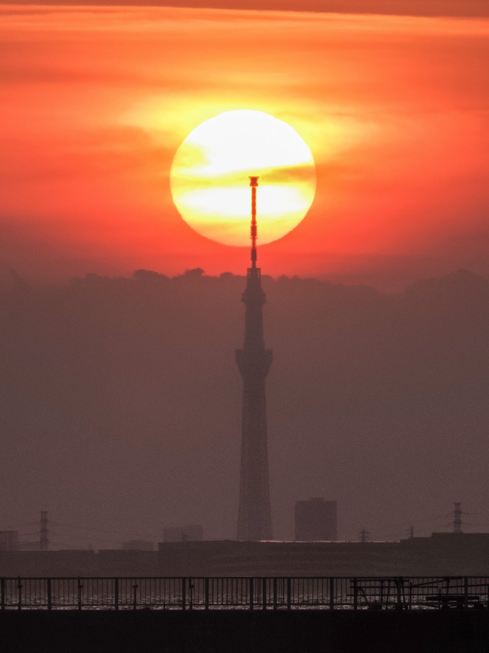 2019.5.17スカイツリーと夕日(検見川浜)_e0321032_17552776.jpg