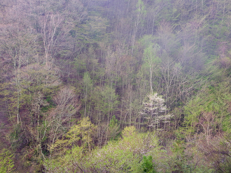 f0129532_19300470.jpg