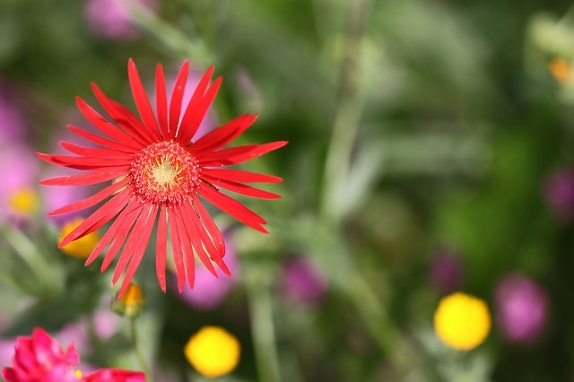 a0242438_21383520.jpg