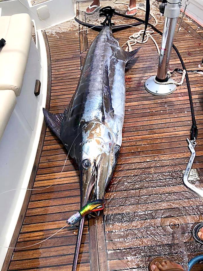 L艇さんも連日の釣果_f0009039_11165065.jpg