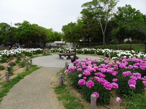 b0299042_20213632.jpg