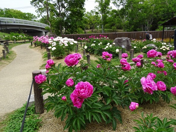 b0299042_20214353.jpg