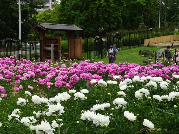 b0299042_20225786.jpg