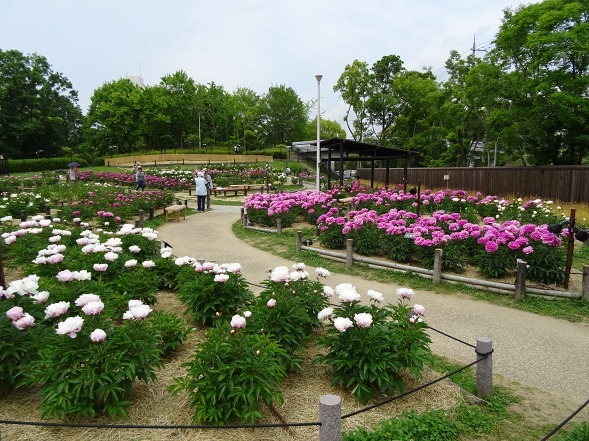 b0299042_20235548.jpg