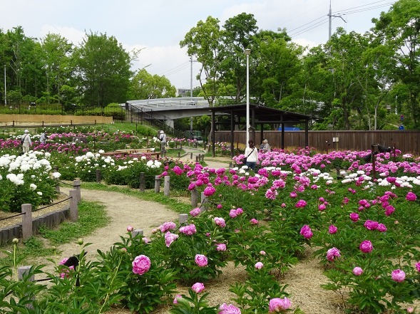 b0299042_20241541.jpg