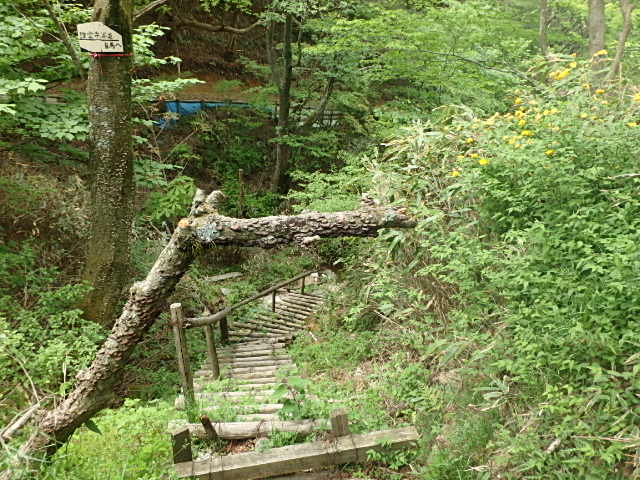 f0334143_7272772.jpg