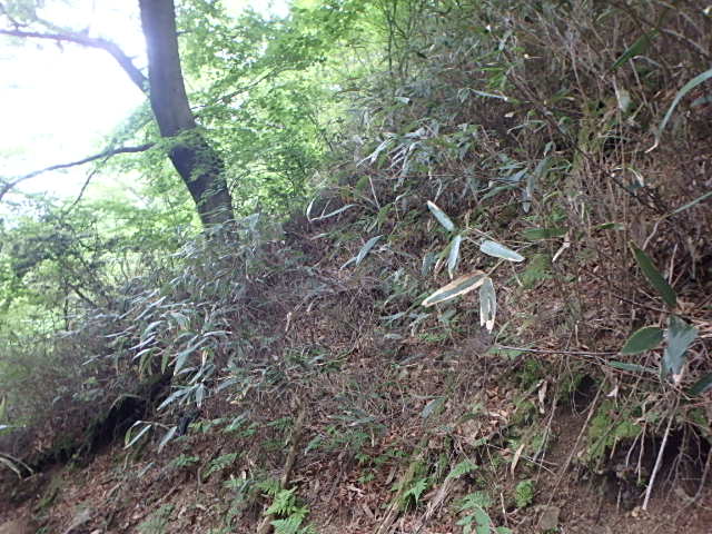 f0334143_73017.jpg