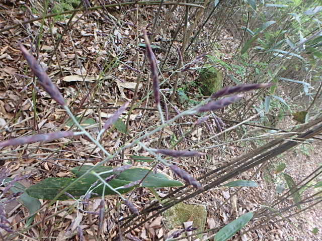 f0334143_7304792.jpg