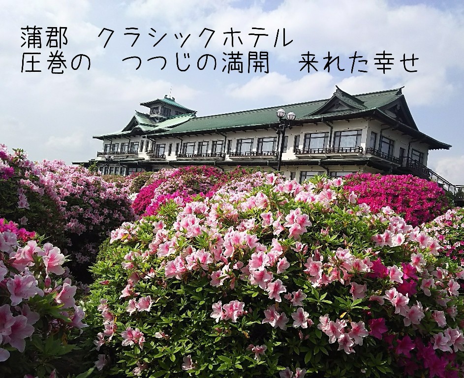 c0134850_11294459.jpg