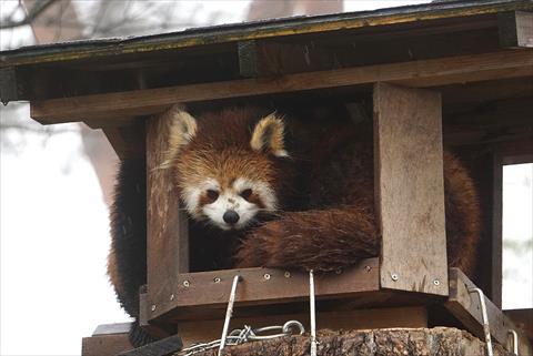 もふてく☆ゴールデンパン祭り2019八木山編・その4_b0338756_08132102.jpg