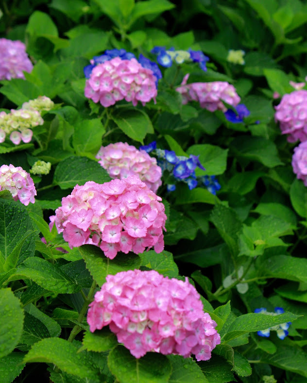 a0248459_15573179.jpg