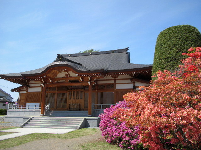 旧中込学校～岩村田・円満寺 ＊ 佐久の藤が見頃です♪_f0236260_02153972.jpg