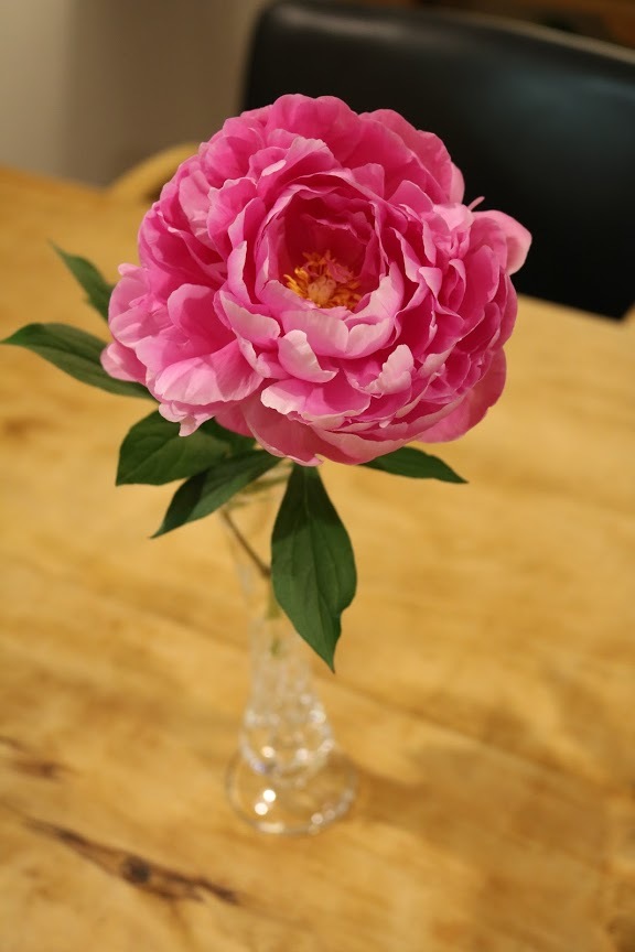a0219573_23523308.jpg