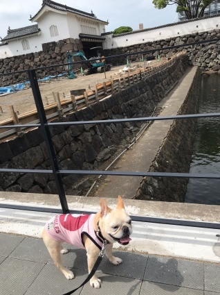 d0048577_10164975.jpeg