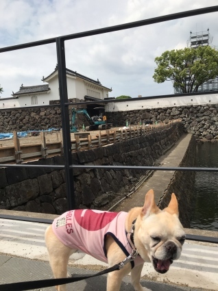 d0048577_10171431.jpeg