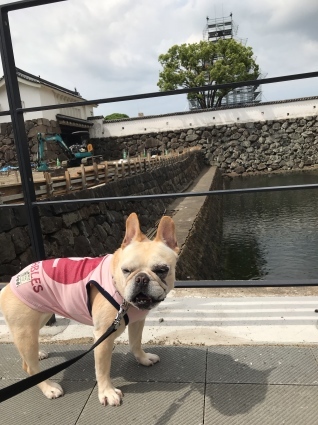 d0048577_10172658.jpeg