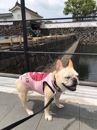 d0048577_10173664.jpeg