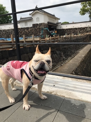 d0048577_10174520.jpeg