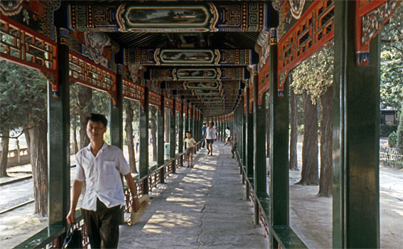 e0116578_1722845.jpg