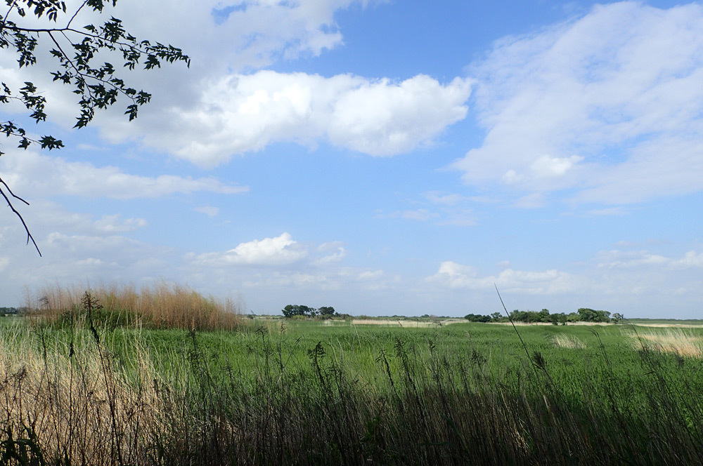a0035279_22572479.jpg