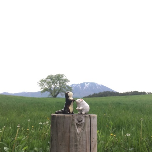 d0350379_12572420.jpeg