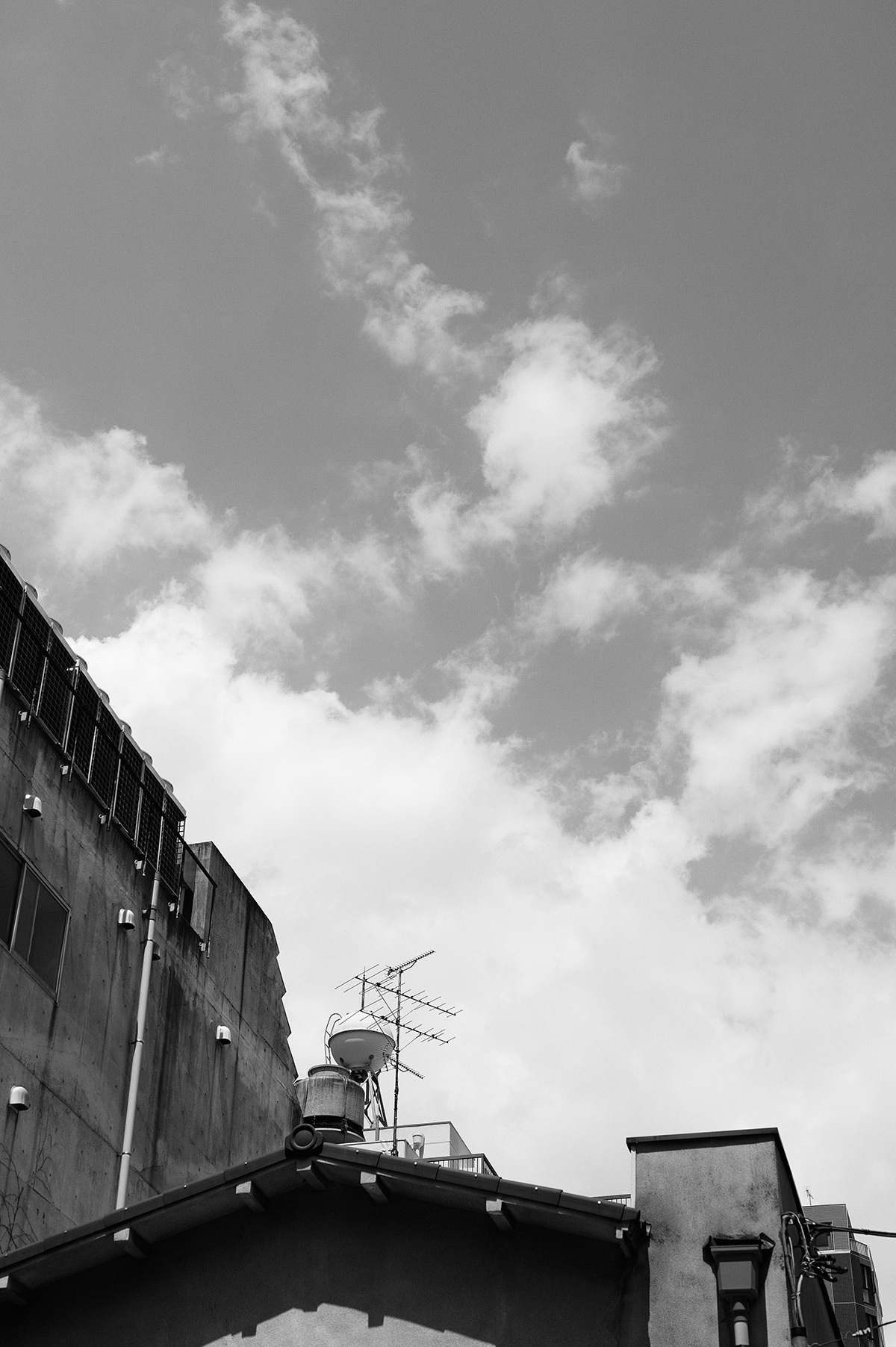 f0121181_23362011.jpg